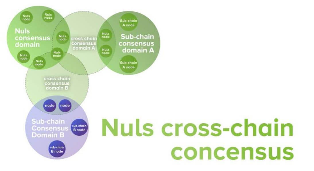 nuls concens de la cadena creuada