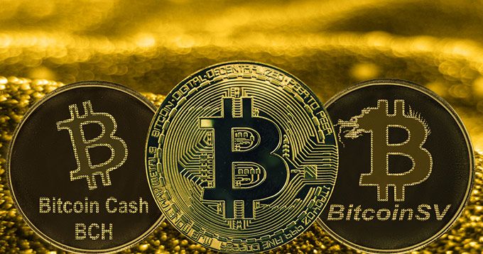 Bitcoin Cash VS Bitcoin: quin hauríeu de triar