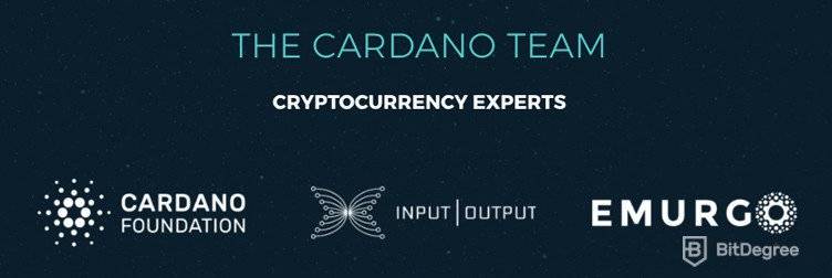 Equip expert en criptomonedes Cardano