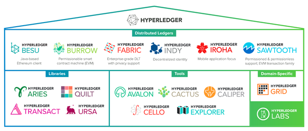 L’hivernacle Hyperledger incloïa diversos projectes basats en Ethereum Font https www hyperledger org projects