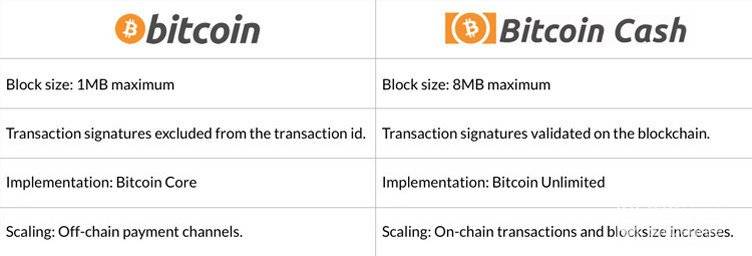 Què és Bitcoin Cash: comparació de Bitcoin i Bitcoin Cash.